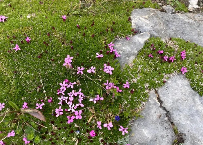 Hotel Christophorushuette Am Feuerkogel *